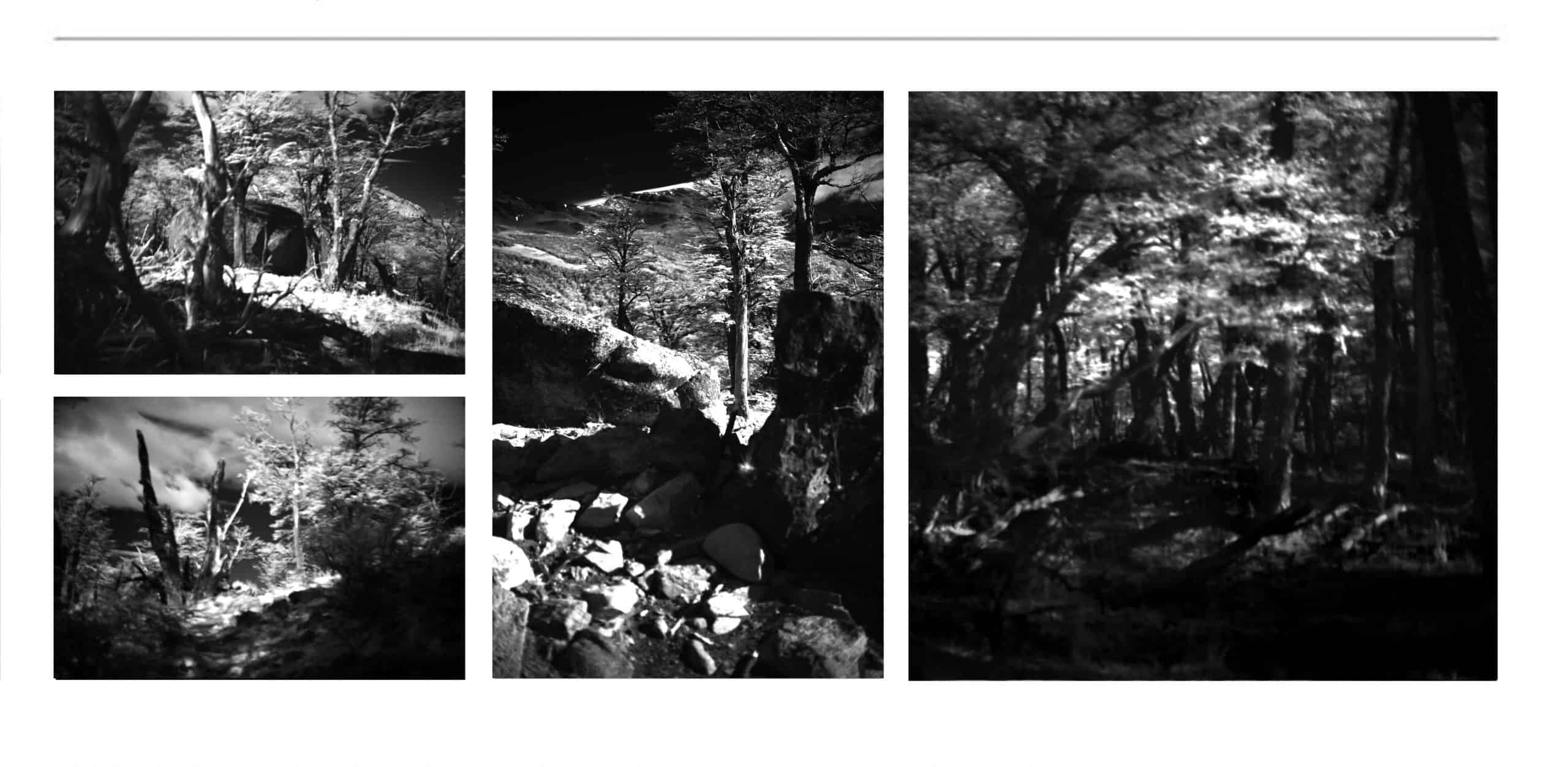  Black and White Photographer Dr Zenaidy Castro, Black and White Photographs for sale, beautiful best black and white photos, famous black and white photography and photographer