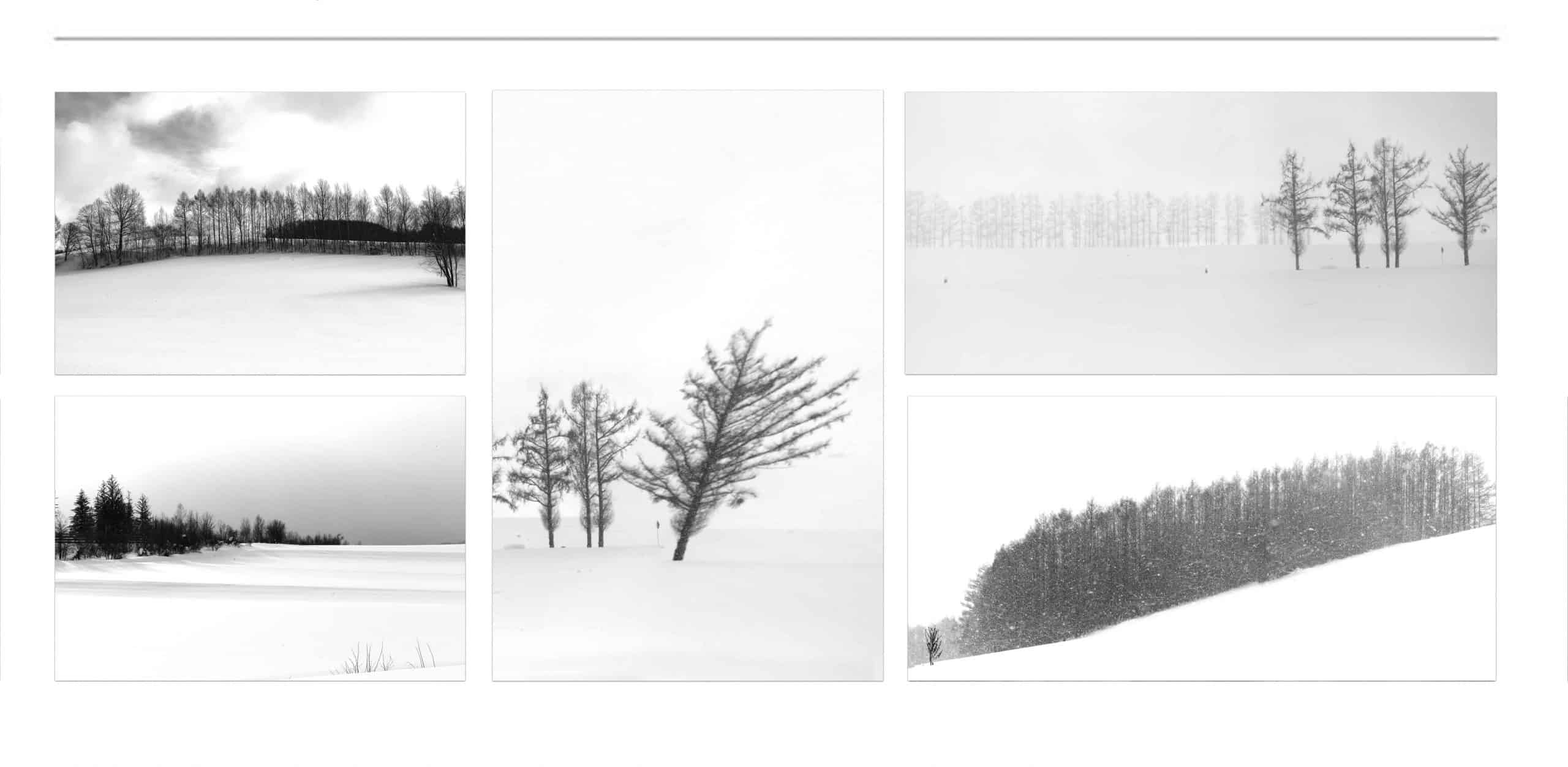 Black and White Photographer Dr Zenaidy Castro, Black and White Photographs for sale, beautiful best black and white photos, famous black and white photography and photographer