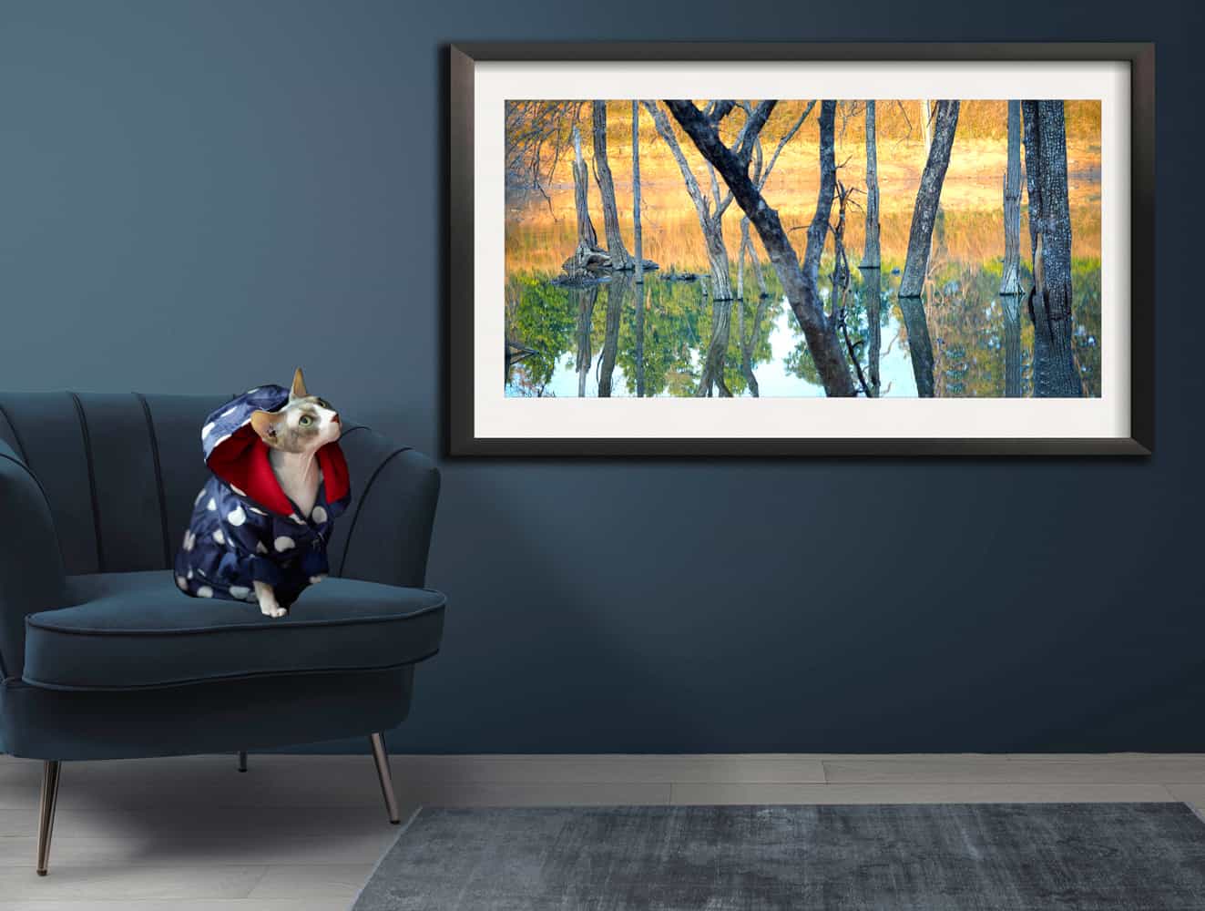 Best New Emerging Australian Artists and Photographer, Melbourne in Dentist Dr Zenaidy Castro
