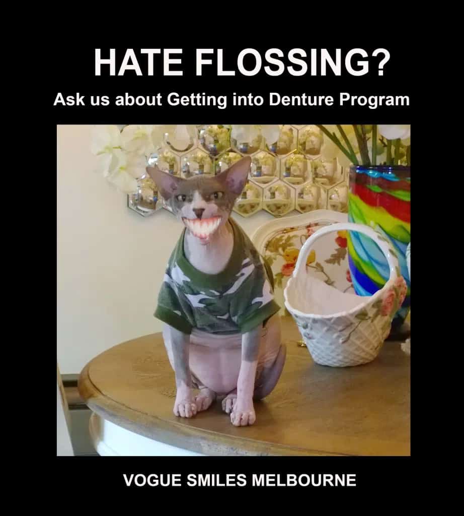 Funny Sphynx Cats memes - Dental Cat Memes - Dentist in Melbourne CBD