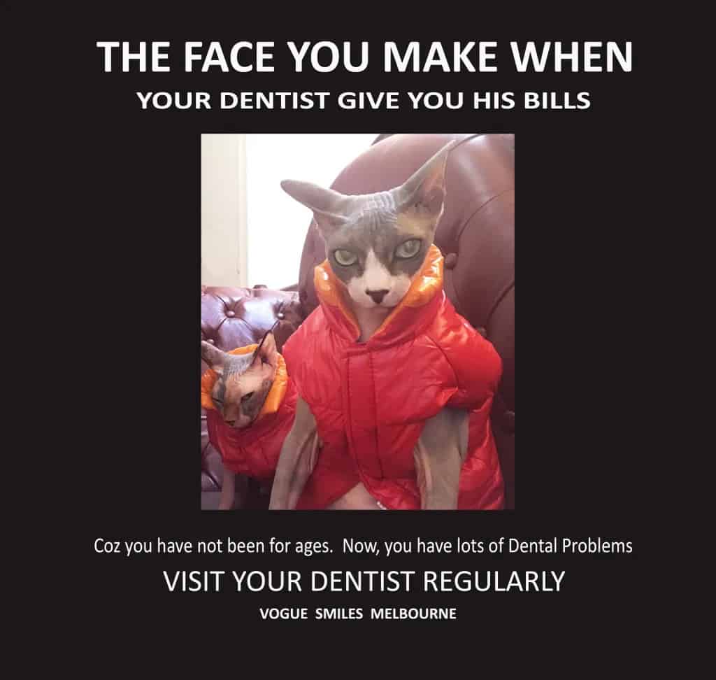 Funny Sphynx Cats memes - Dental Cat Memes - Dentist in Melbourne CBD