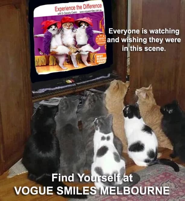  Funny Cute cat memes, Dental Cat memes, Cute Cats photos, Cat lovers