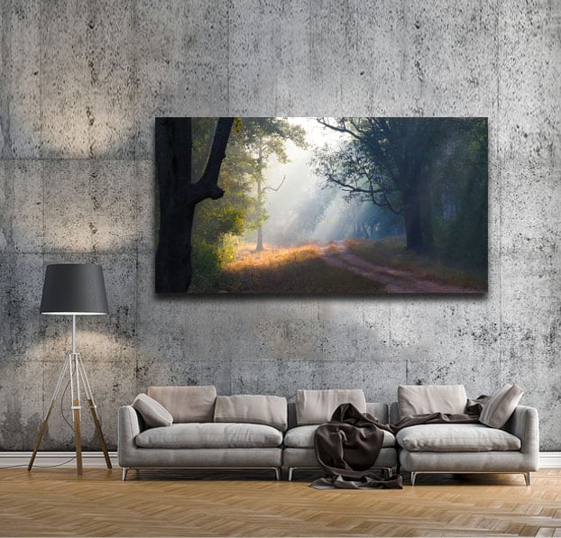Dr Zenaidy Castro-Famous Cosmetic Dentist in Melbourne, Famous Australian Photographer and Abstract Artist Dr Zenaidy Castro-Famous Cosmetic Dentist in Melbourne, Famous Australian Photographer and Abstract Artist