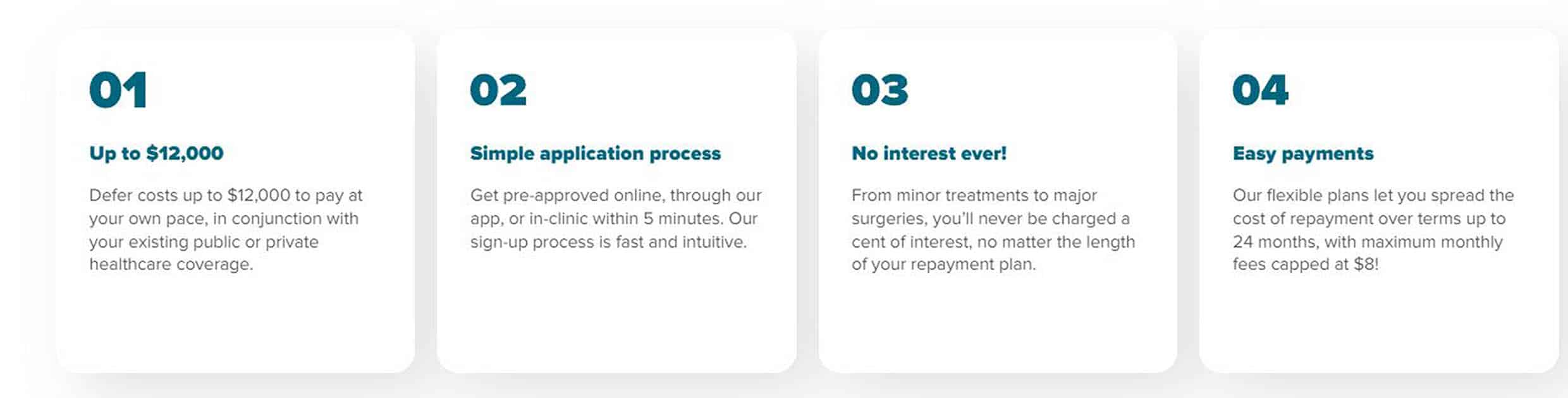 NDP payment plan features